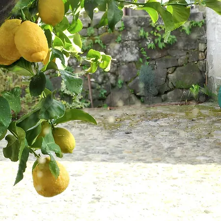 Family House With Mountain View In Vakantiehuis Vouzela