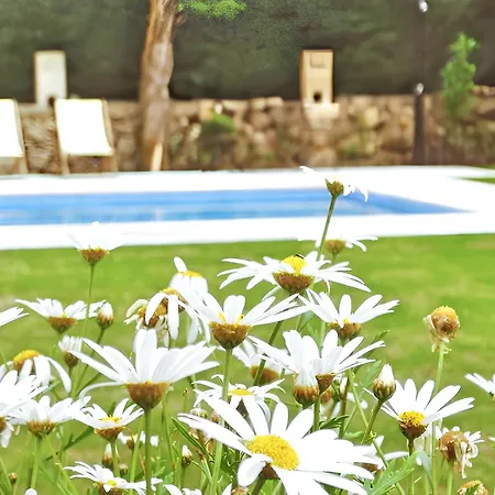 Family House With Mountain View In * Vouzela