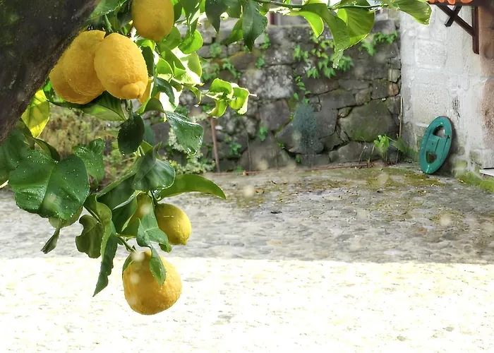 Family House With Mountain View In Hébergement de vacances Vouzela