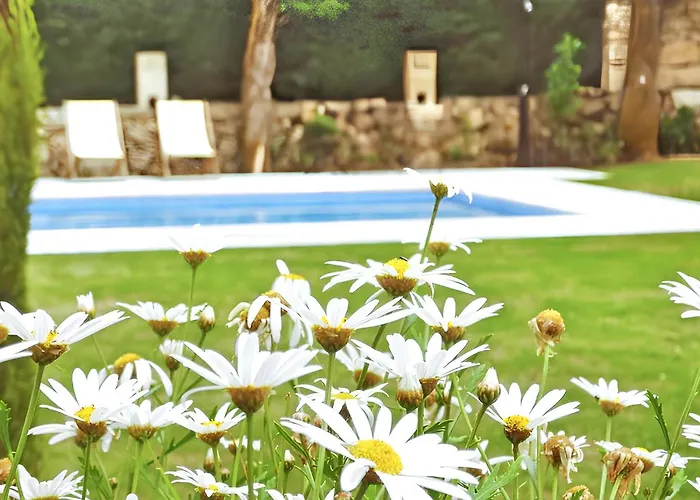 Family House With Mountain View In * Vouzela